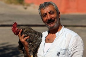 Kesilmekten kurtardığı horozla 'dost' oldu