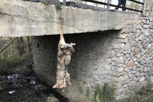 Köprü korkuluklarına asılı halde bulundu