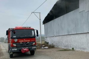 Foça'da pamuk deposu yandı