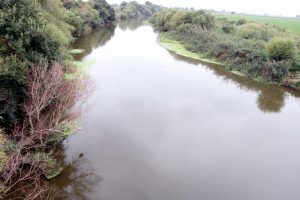 Gediz Nehri'nde balık ölümleri devam ediyor