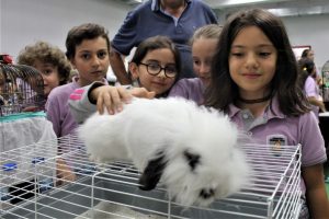 Bursa'da öğrenciler okulu hayvanat bahçesine çevirdi