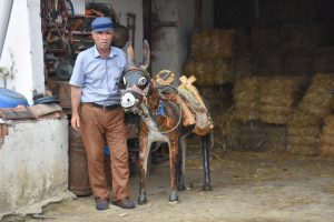 Ağaç dallarını sanata dönüştürüyor
