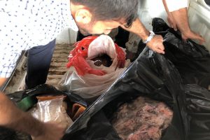 Satışa hazır vaziyette yarım ton bozuk et ele geçirildi