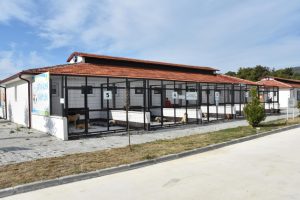 Kaderine terk edilen sokak köpekleri 5 yıldızlı konfora kavuştu