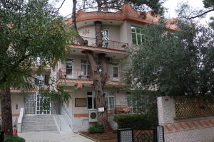 3 asırlık ağaç balkondan geçiyor