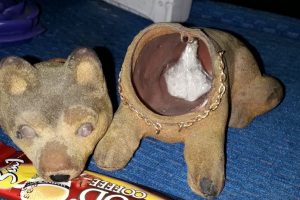 Oyuncak köpeğin içinden uyuşturucu çıktı