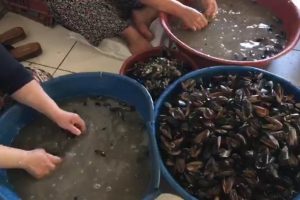 Baskında ortaya çıkan manzaraya ekipler bile şaşırdı