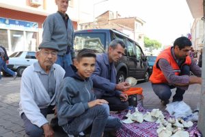 Aydın'da doğal mantar tezgahtaki yerini aldı