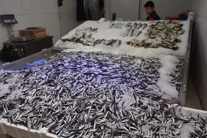 Kötü hava, balık fiyatlarını etkiledi
