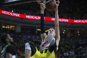 Fenerbahçe'ye Vesely müjdesi!