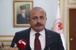 Meclis Başkanı Şentop'tan 'Barış Pınarı Harekatı' mesajı