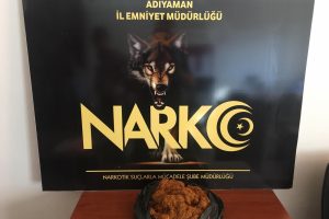 Toprağa gömülü bonzai bulundu