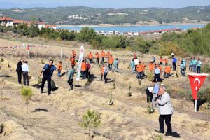 Anneler için 571 fidan dikildi