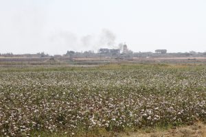 Mardin'de teröristlerden taciz ateşi açıldı