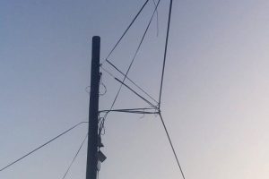 Devrilen ağaç köyün başına iş açtı