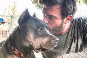 Kıvanç Tatlıtuğ'un köpeği kansere yakalandı