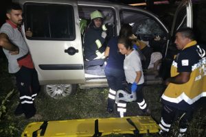 Hafif ticari araç çarptığı ağacın altında kaldı