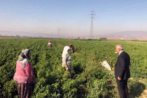 Bursa Yenişehir Belediye Başkanı Aydın'dan çiftçi kadınlara sürpriz ziyaret