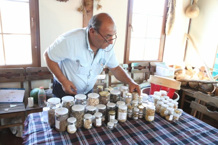 Bursa Nilüfer Kent Bostanları'nda hasat zamanı