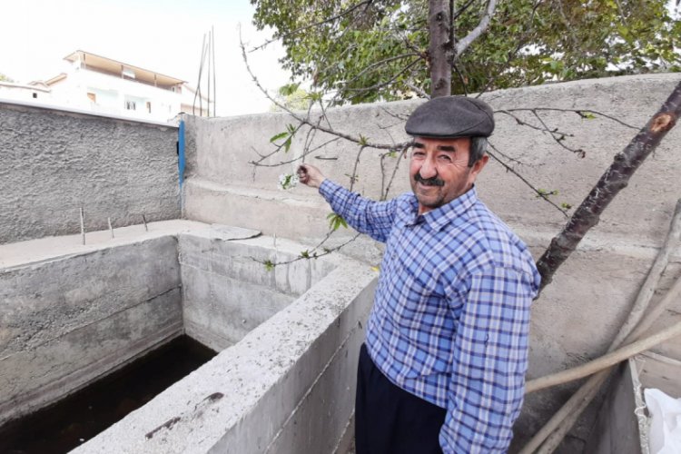 Mevsimini şaşıran kiraz ağacı çiçek açtı