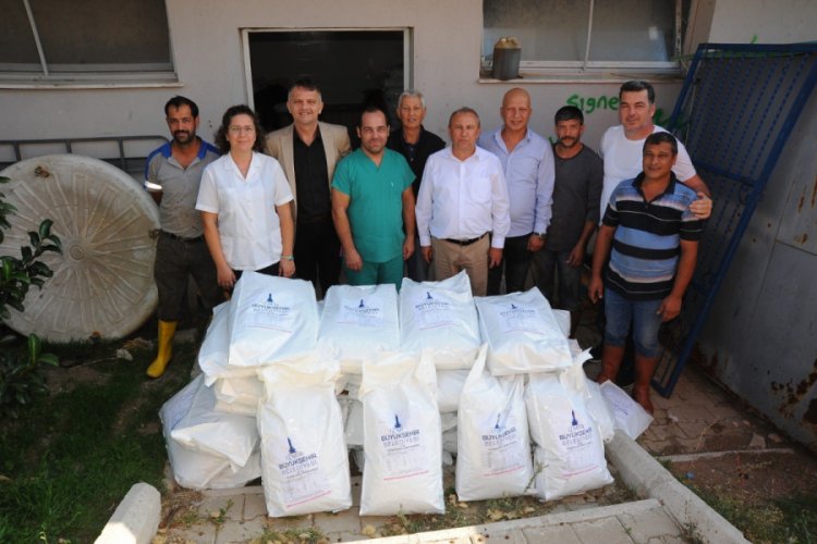 Sokak hayvanlarına 1.5 ton mama yardımı