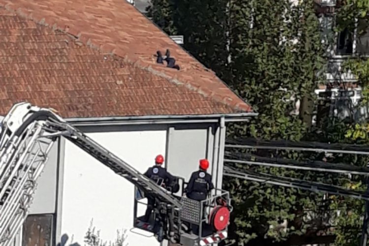 Bursa'da 5 saatlik ikna çabasına rağmen, 52 metreden atladı