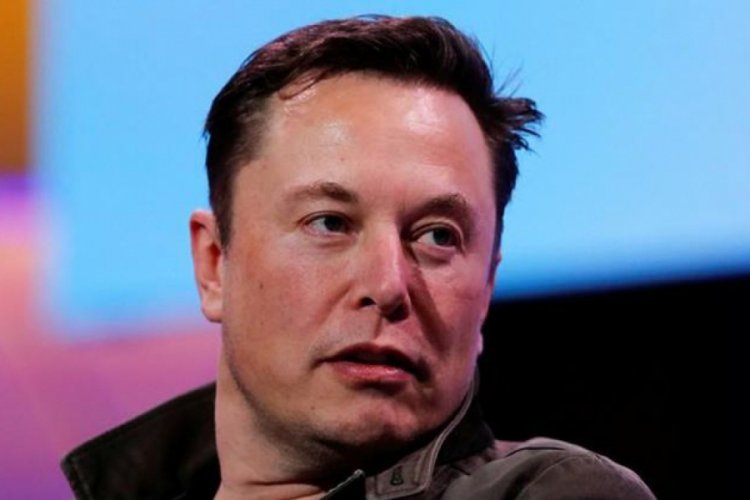 Elon Musk 1 milyon ağaç dikilmesi için 1 milyon dolar bağışladı 