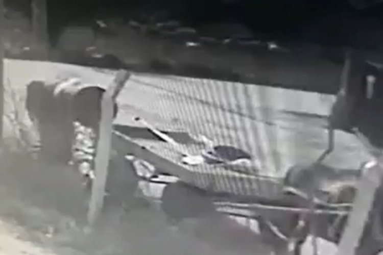 Bursa'da at arabalı hırsızlar kameraya yakalandı