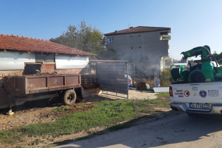 Bursa Büyükşehir Belediyesi'nden sinekle mücadele çalışmaları