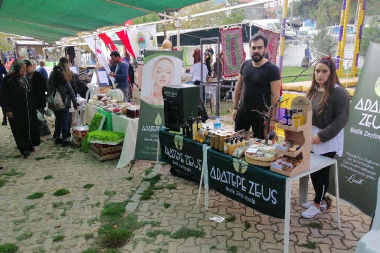 Ayvacık'ta Geleneksel Zeytin Şenliği