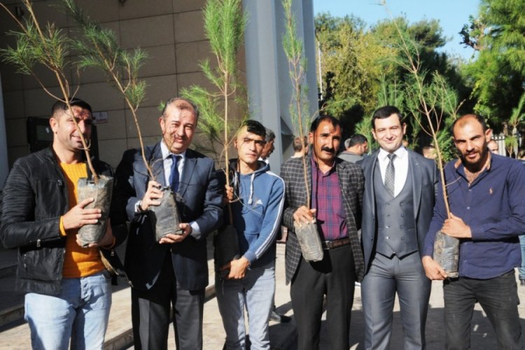 Denetimli serbestlik yükümlülerine 250 fidan dağıtıldı