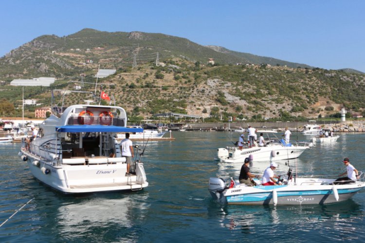 Alanya'da en büyük balığı avlama yarışması başladı