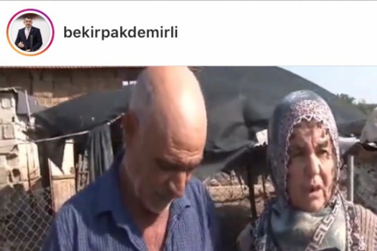 Bakan Pakdemirli'den koyunları çalınan Ayşe teyzeye destek
