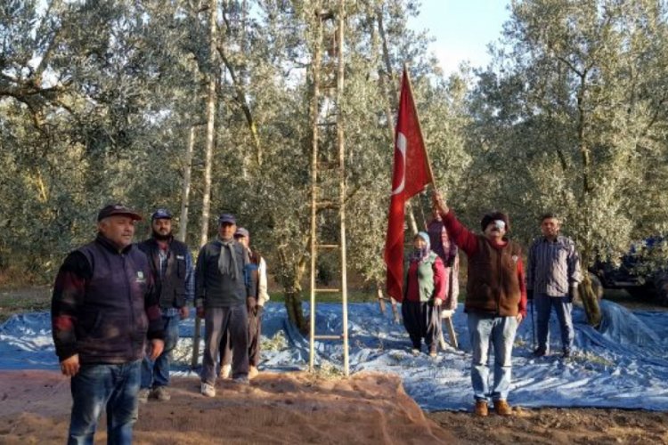 Bursa'da zeytin işçilerinden Ata'ya saygı duruşu