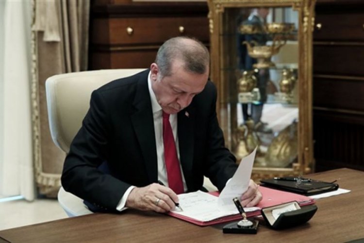 Bursa'nın 3 ilçesine orman işletme müdürlükleri kuruldu
