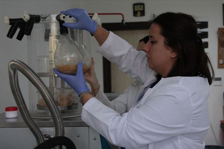 Bursa Uludağ Üniversitesi'nde 'Bacillus' bakterisinin pet ve naylonu parçalayabildiği belirlendi