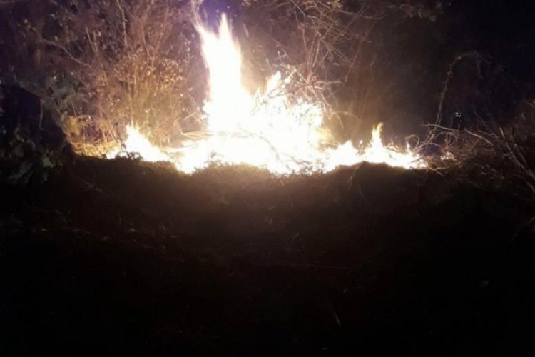 Düzce'deki orman yangınında 10 dönüm arazi küle döndü