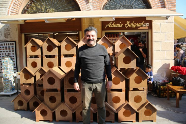 Sokak kedileri için 100 kedi evi