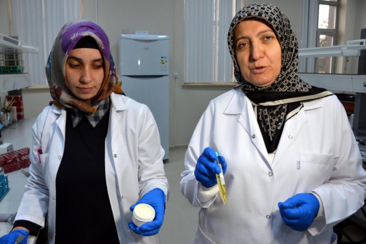 Çaşır bitkisinden krem ve sprey ürettiler