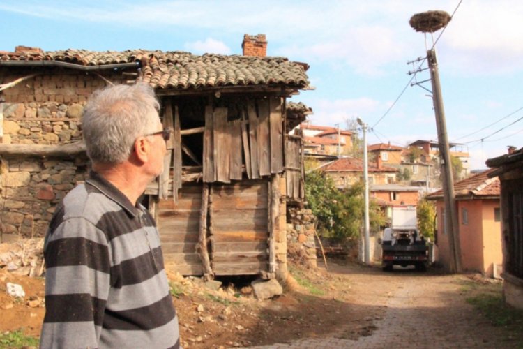 Profesör leylek yuvalarını temizledi