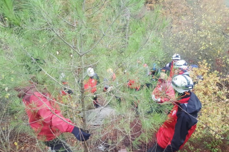 Bursa'da odun toplamaya çıkan yaşlı adamın cesedi bulundu