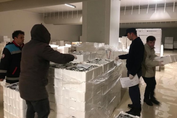 Kanuna aykırı avlanmış 20 ton su ürününe el konuldu
