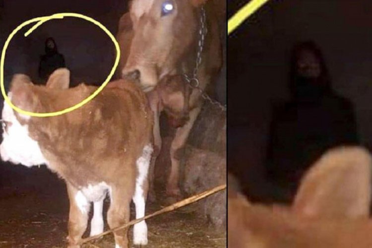 Fotoğrafa yansıyan siluet tartışma konusu oldu!