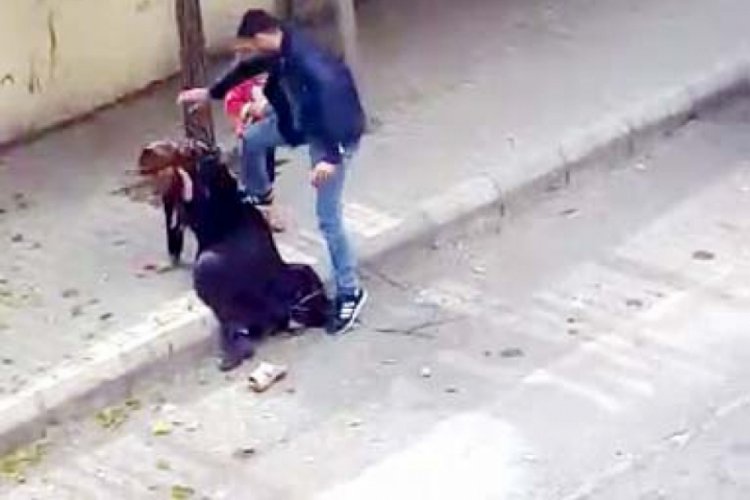 Serbest kalan dayakçı koca, bu kez tutuklandı