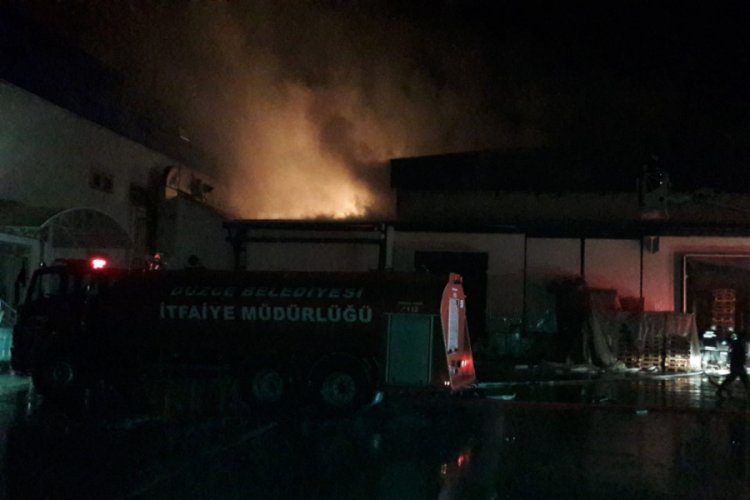 Düzce'de fabrikada yangın