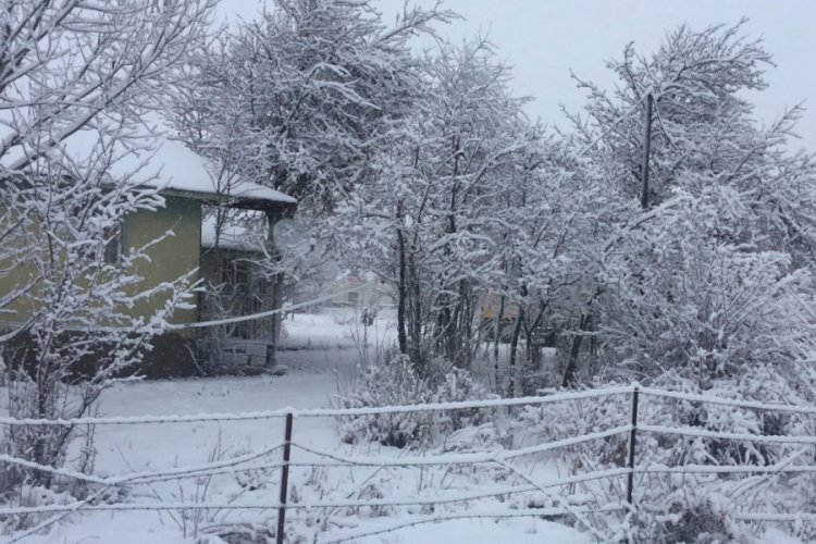 Karlıova ve Yedisu ilçeleri güne karla uyandı