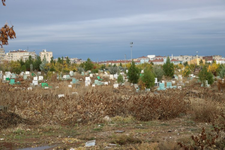 Uyuşturucu kullanıcıları mezarlıkları kendilerine mesken tuttu