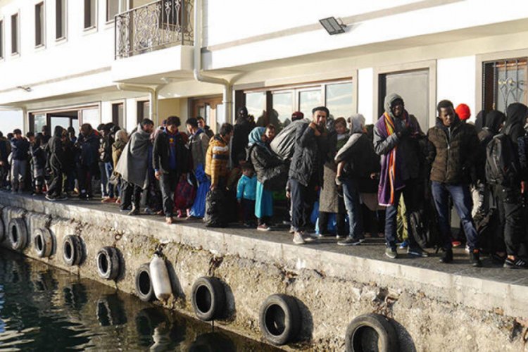 247 kaçak göçmen yakalandı