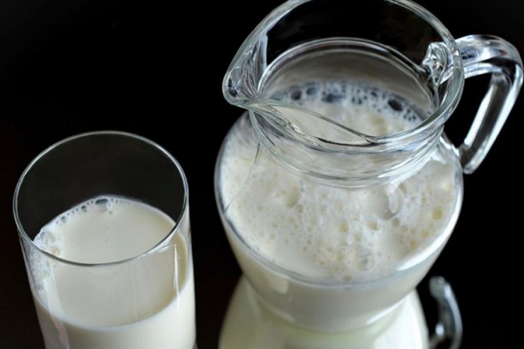 Kaba yemle beslenen hayvanın sütü protein açısından daha zengin