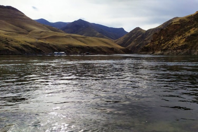 Fırat Nehri'nde kayıp sürücünün aranması sürüyor